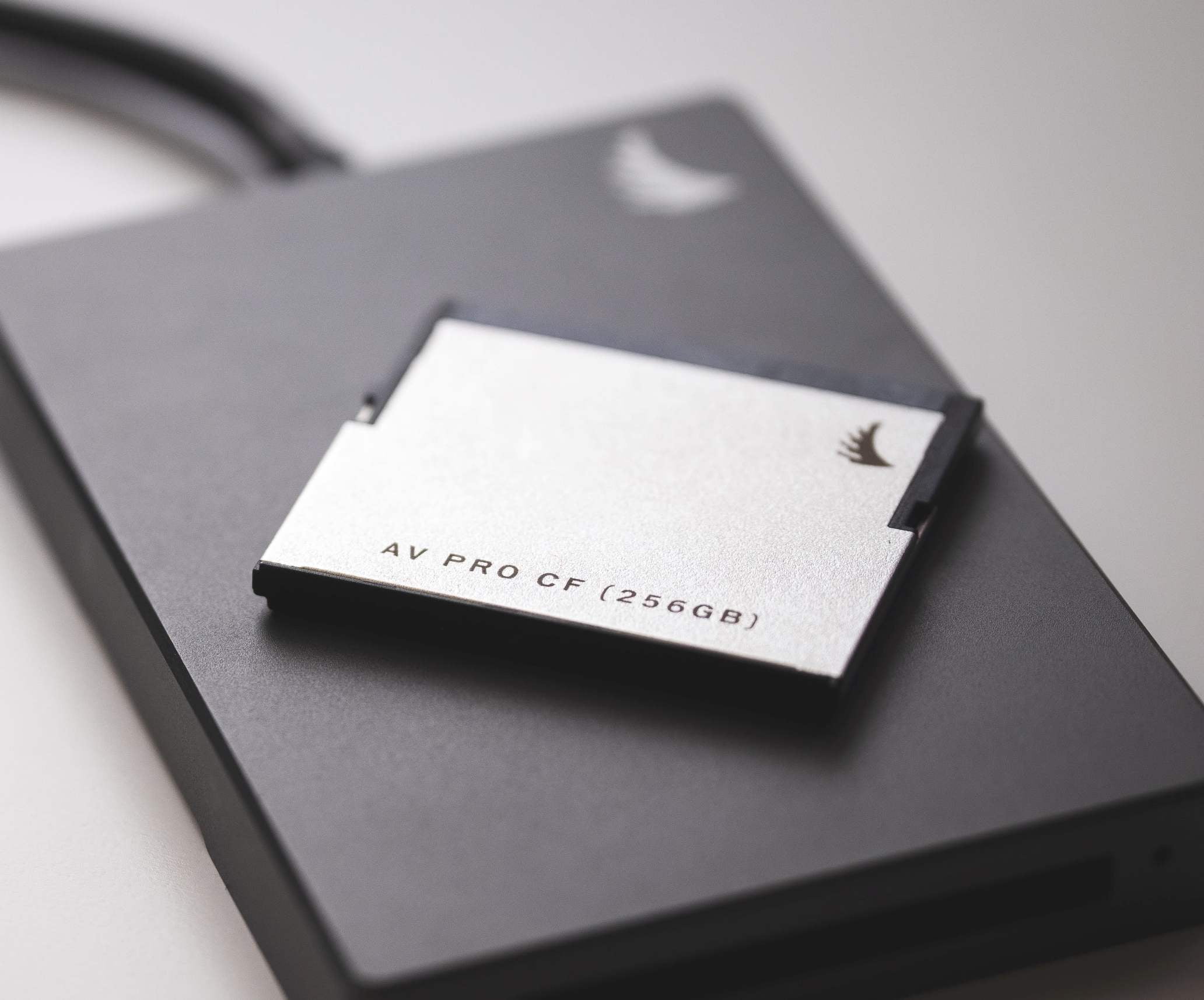 sd card data recovery